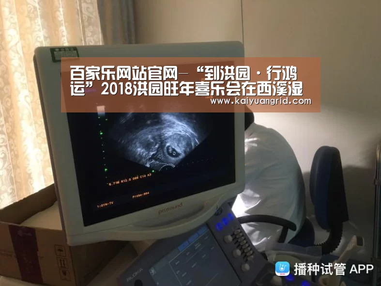 百家乐网站官网-“到洪园·行鸿运”2018洪园旺年喜乐会在西溪湿地·洪园开幕(图1) 百家乐网站直播