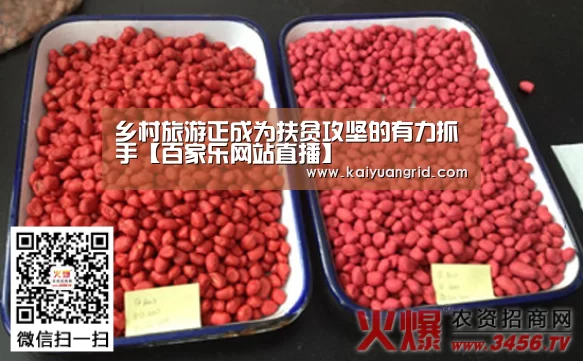 乡村旅游正成为扶贫攻坚的有力抓手【百家乐网站直播】(图3) 百家乐网站官网