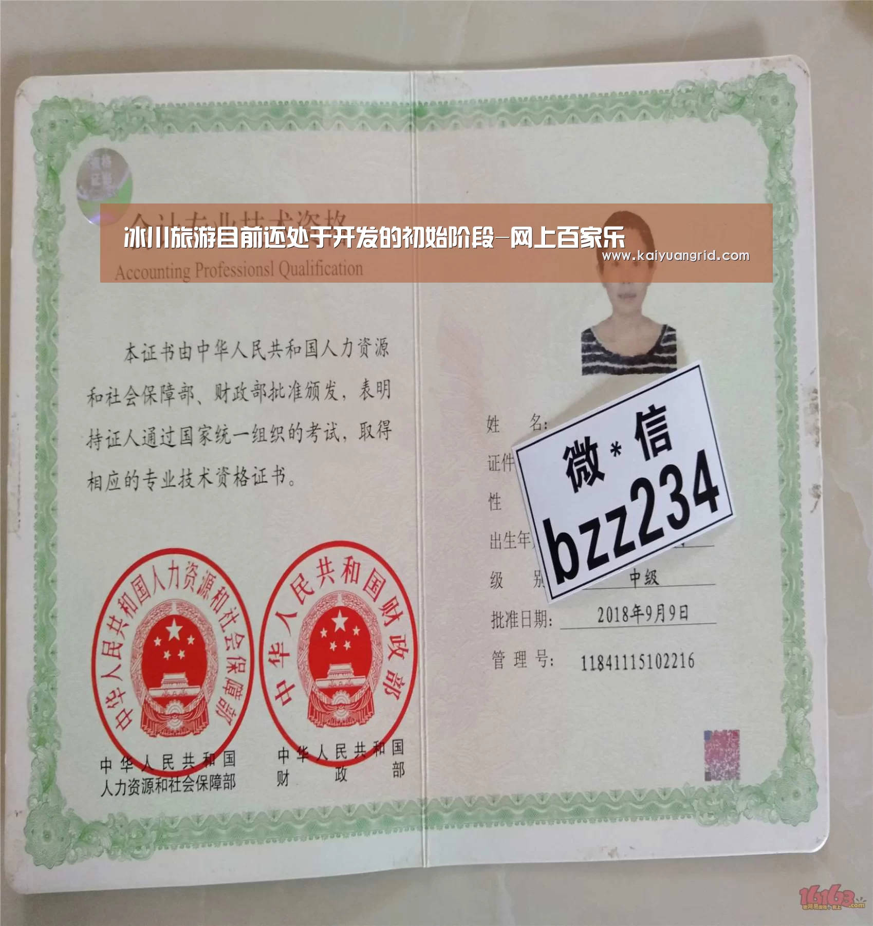 冰川旅游目前还处于开发的初始阶段-网上百家乐(图1) 百家乐网站官网