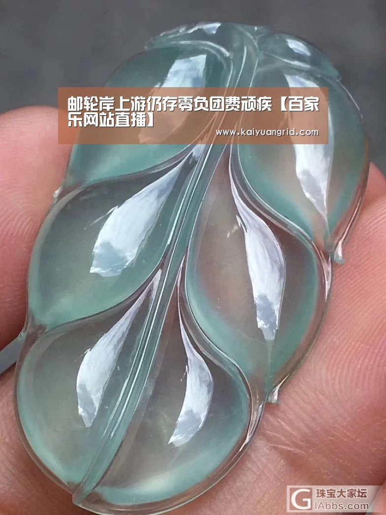邮轮岸上游仍存零负团费顽疾【百家乐网站直播】(图4) 百家乐网站直播