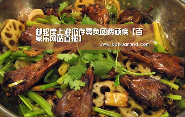 邮轮岸上游仍存零负团费顽疾【百家乐网站直播】(图1) 百家乐网站直播