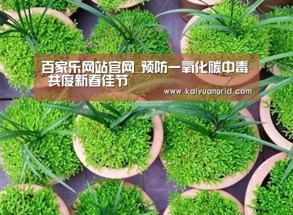 百家乐网站官网_预防一氧化碳中毒 共度新春佳节(图2) 百家乐网站直播