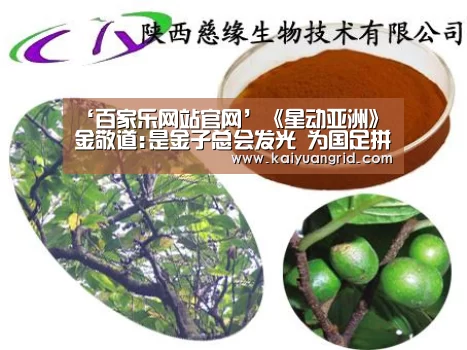 ‘百家乐网站官网’《星动亚洲》金敬道:是金子总会发光 为国足拼到抽筋(图2) 网上百家乐